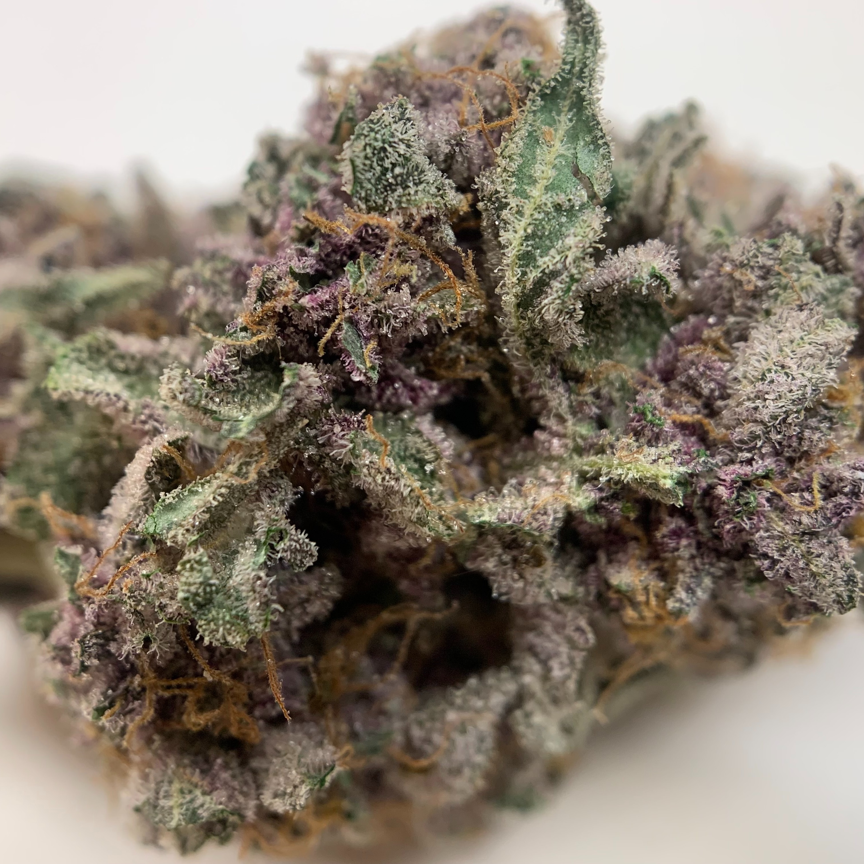 Pink Pineapple